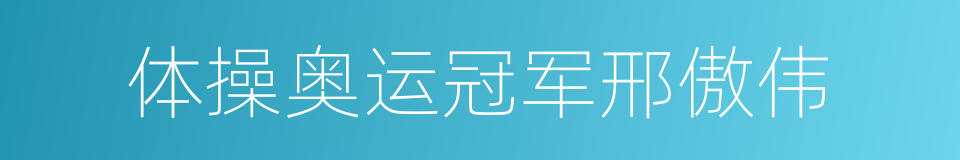 体操奥运冠军邢傲伟的同义词