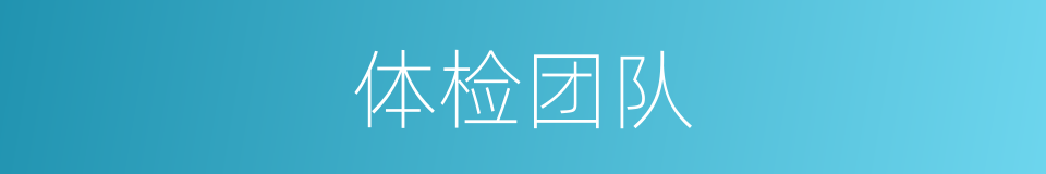 体检团队的同义词