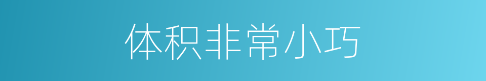 体积非常小巧的同义词