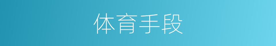 体育手段的意思