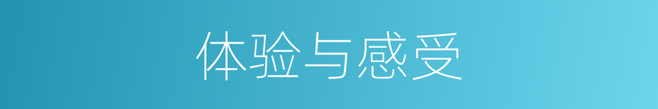 体验与感受的同义词