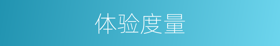 体验度量的同义词