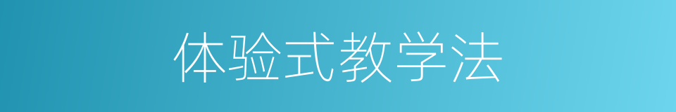体验式教学法的同义词