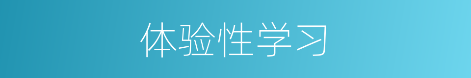 体验性学习的同义词