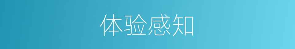 体验感知的同义词