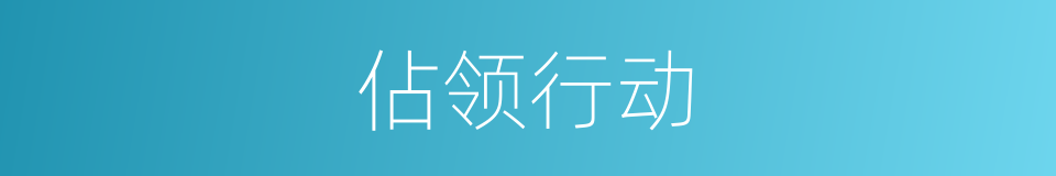 佔领行动的同义词