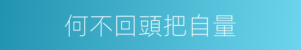 何不回頭把自量的同義詞