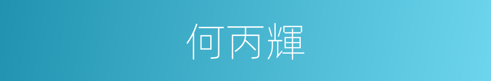 何丙輝的同義詞