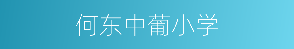 何东中葡小学的同义词