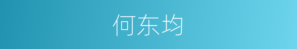 何东均的同义词