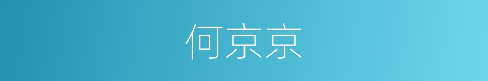 何京京的同义词