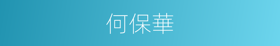何保華的同義詞