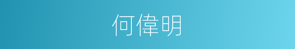 何偉明的同義詞