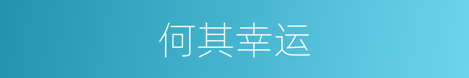 何其幸运的同义词