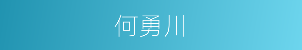 何勇川的同义词