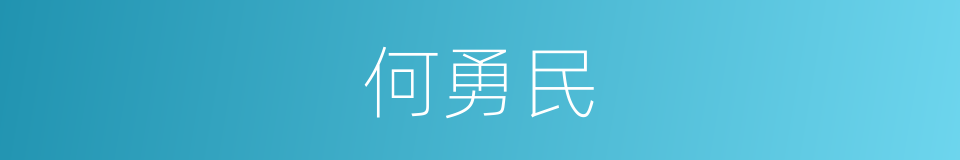 何勇民的同义词