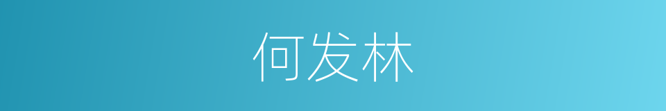 何发林的同义词