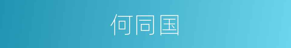 何同国的同义词