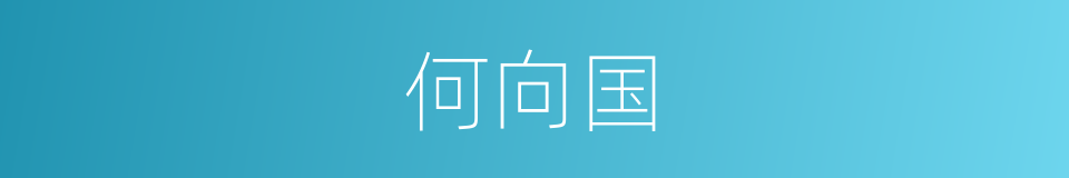 何向国的同义词