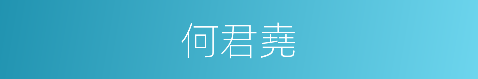 何君堯的同義詞