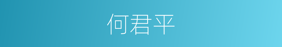 何君平的同义词