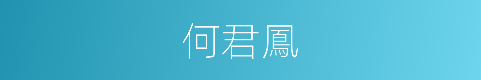 何君鳳的同義詞