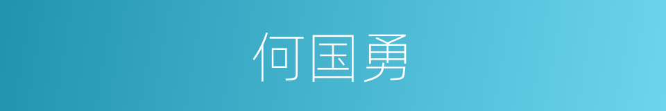 何国勇的同义词