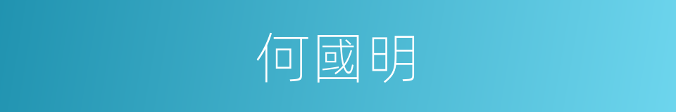 何國明的同義詞