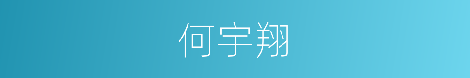 何宇翔的同义词