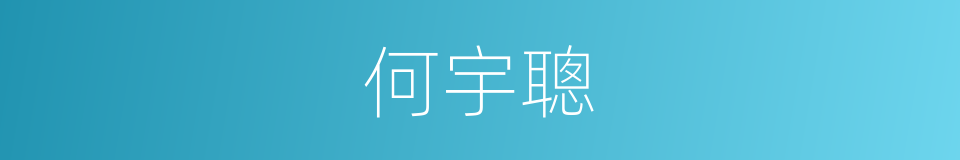 何宇聰的同義詞