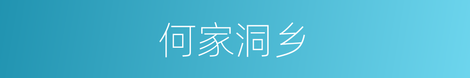 何家洞乡的同义词