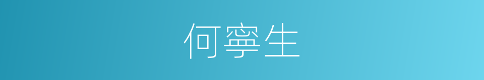 何寧生的同義詞