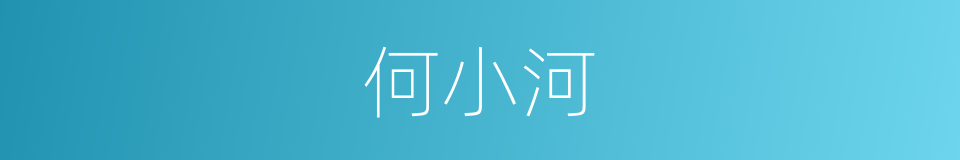 何小河的同义词