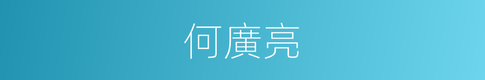何廣亮的同義詞