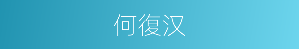 何復汉的同義詞
