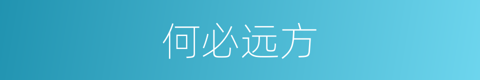 何必远方的同义词