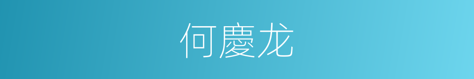 何慶龙的同義詞
