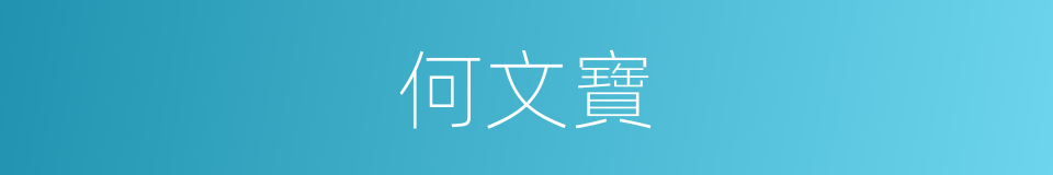 何文寶的意思