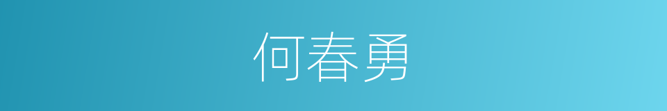 何春勇的同义词
