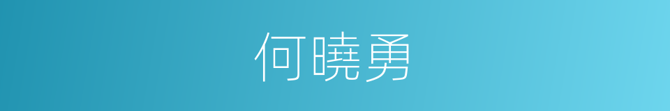何曉勇的同義詞
