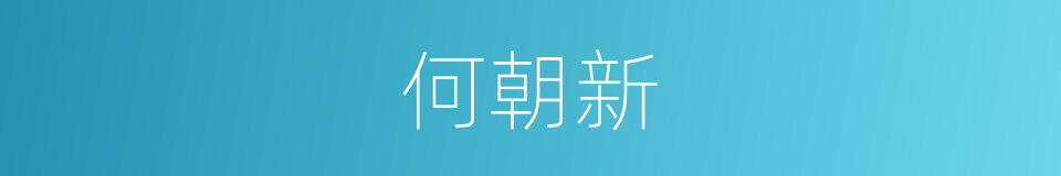 何朝新的同义词