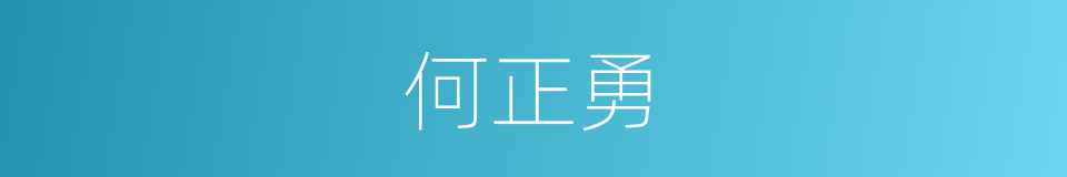 何正勇的同义词