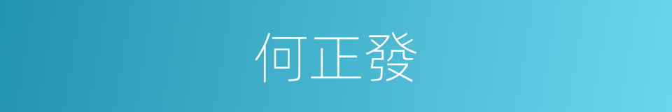 何正發的同義詞