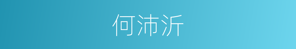 何沛沂的同义词