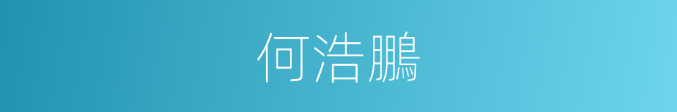 何浩鵬的同義詞