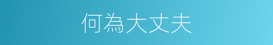 何為大丈夫的同義詞
