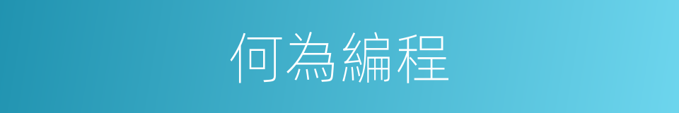 何為編程的意思