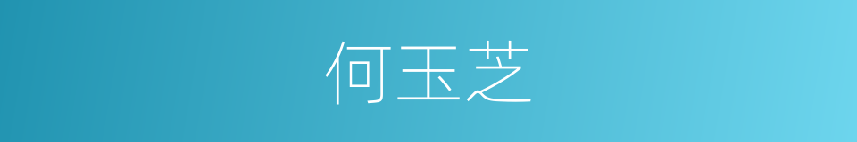 何玉芝的同义词