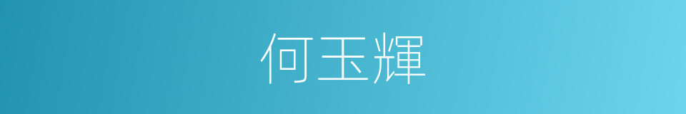 何玉輝的同義詞