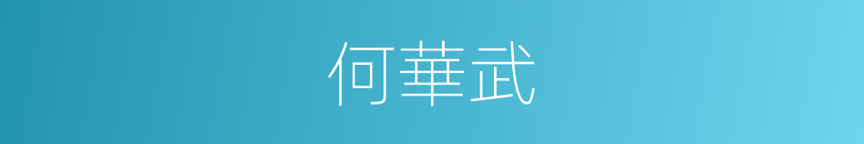 何華武的同義詞